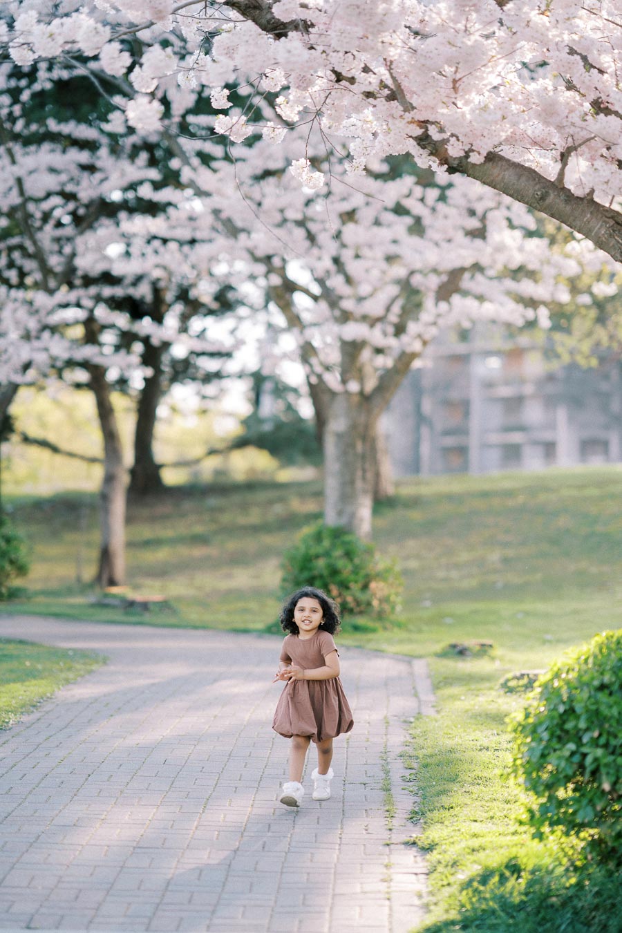 A young girl joyfully running along a brick pathway beneath blossoming cherry trees in a sunlit park.