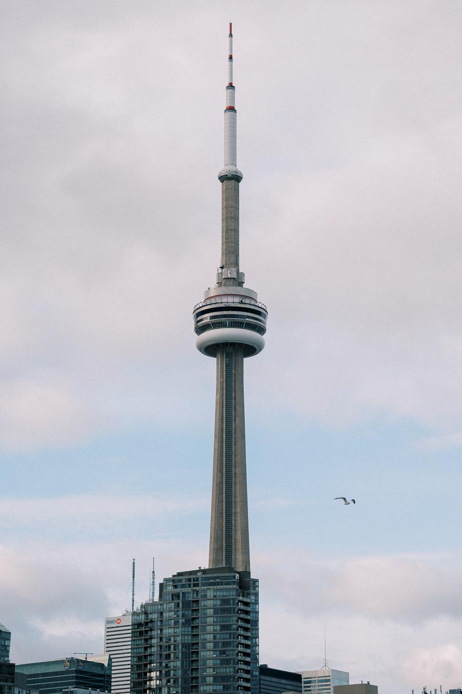 CN Tower in Toronto on a cloudy day with skyscrapers and a bird in the sky, iconic Canadian landmark.