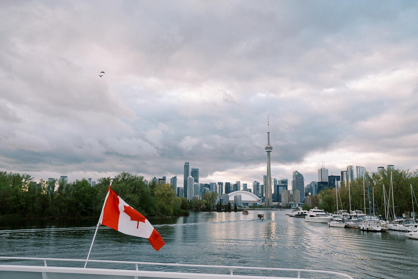 Toronto skyline featuring CN Tower with Canadian flag on a boat, overcast sky, and boats docked along the harbor.