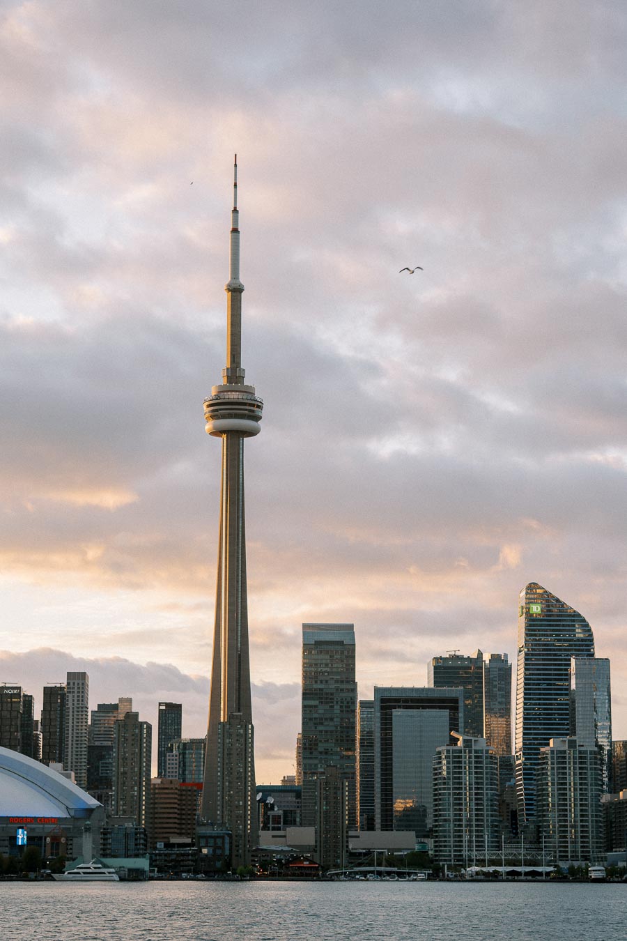 Toronto skyline featuring the CN Tower at sunset with modern skyscrapers and a cloudy sky backdrop.