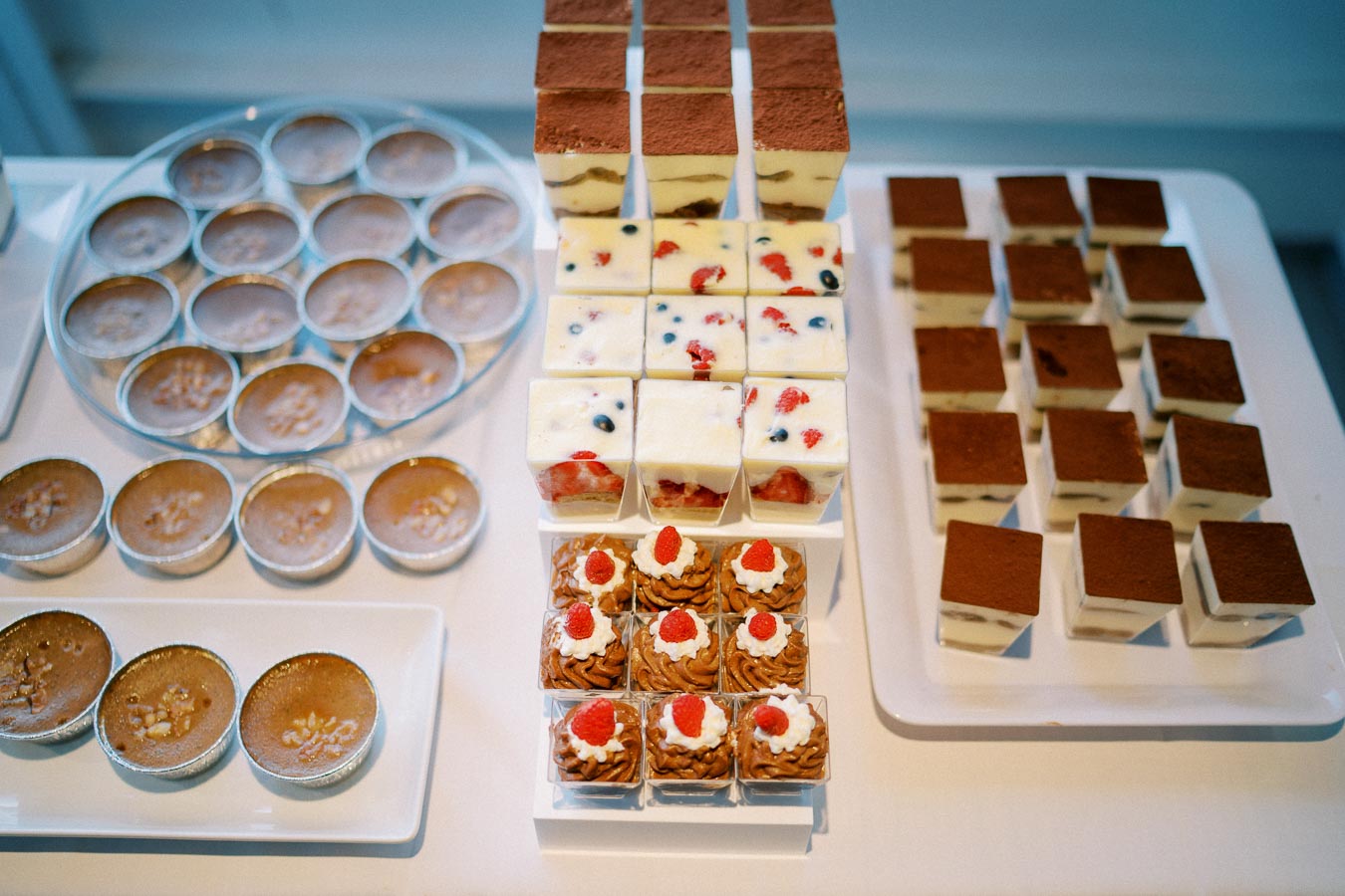 Assorted gourmet desserts on display, featuring creamy tiramisu squares, berry-topped panna cotta, chocolate mousse with whipped cream and strawberries, and individual caramel custards, perfect for a dessert buffet or catering menu.