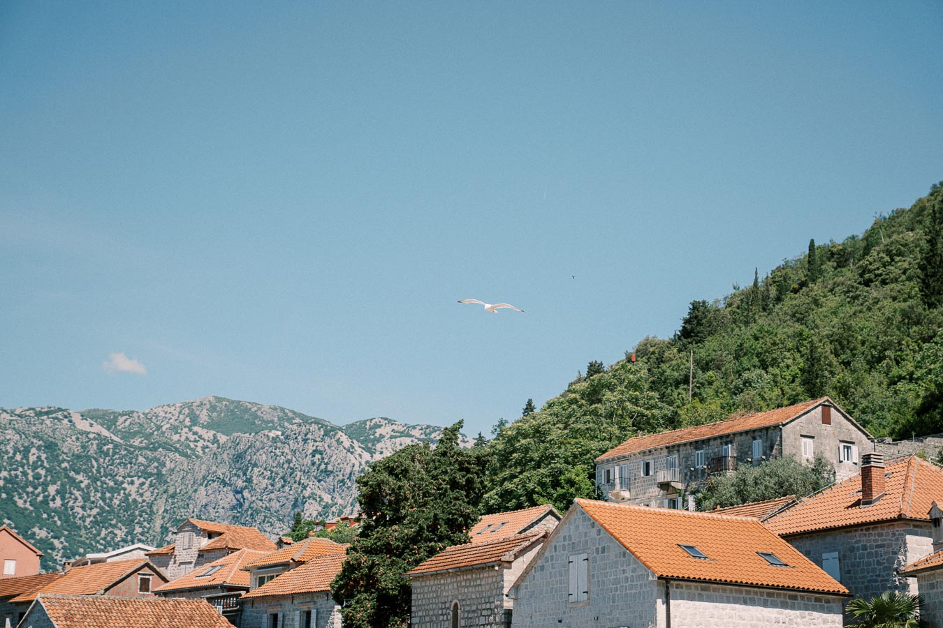 Scenic view of Mediterranean village rooftops with terracotta tiles, surrounded by lush greenery and mountains under a clear blue sky with a seagull soaring above.