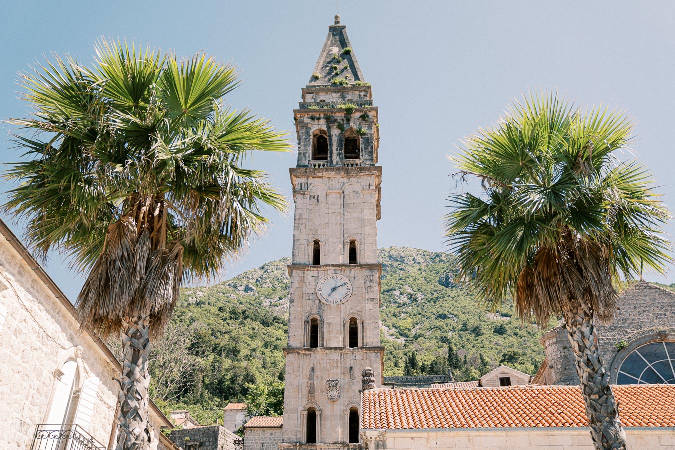 Historic stone clock tower framed by palm trees with a mountain backdrop during a sunny day in Perast, Montenegro.