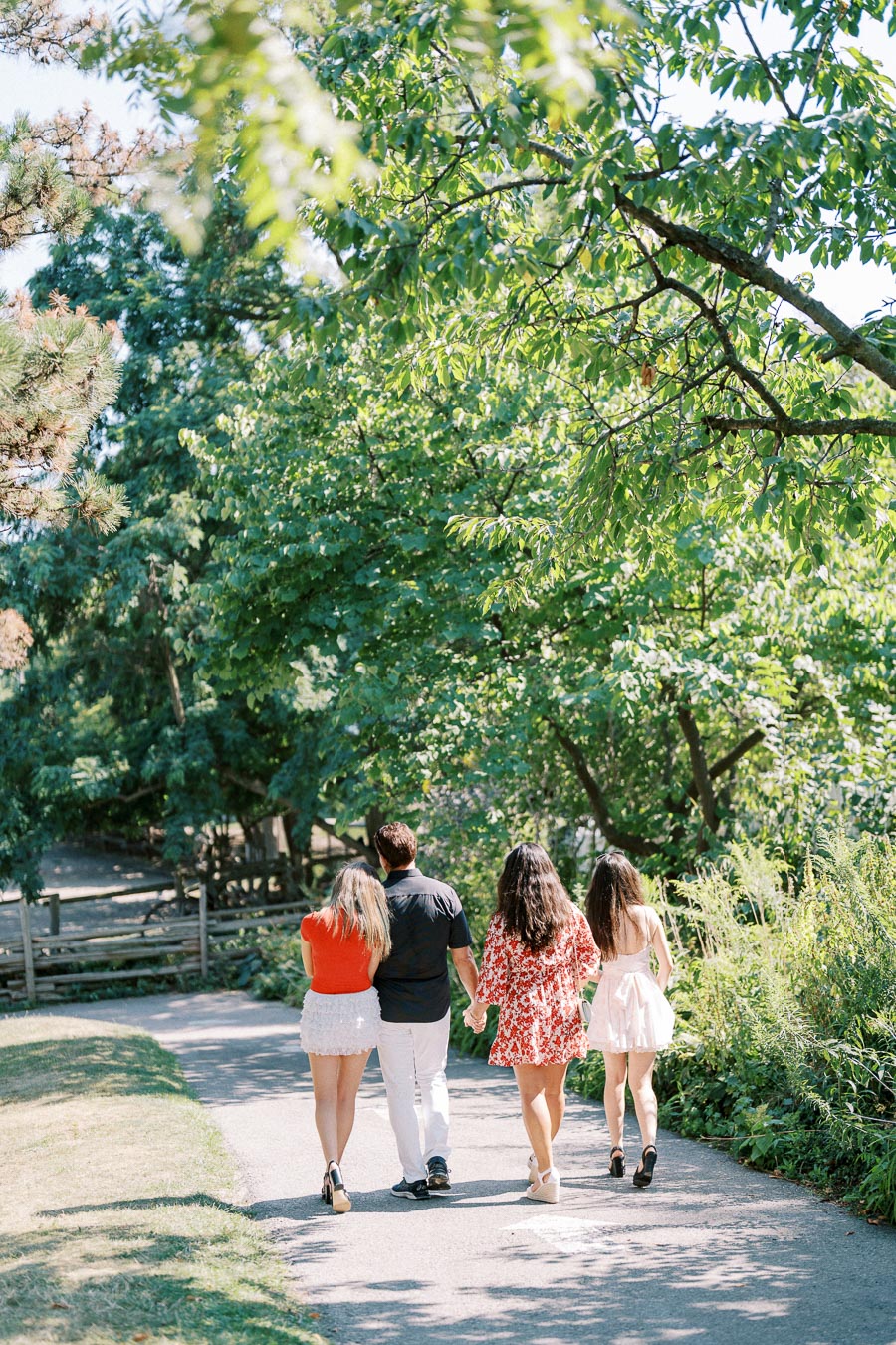Four people walking together on a sunny path surrounded by lush greenery in a park.