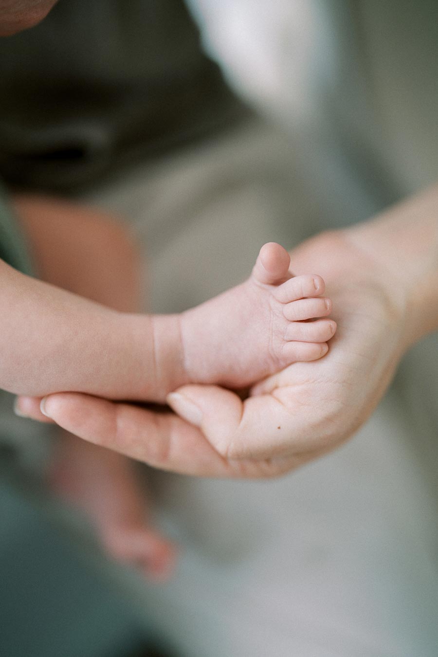 A close-up image of a gentle adult hand cradling a newborn baby's tiny foot, symbolizing care, protection, and warmth, perfect for motherhood and family-related content.
