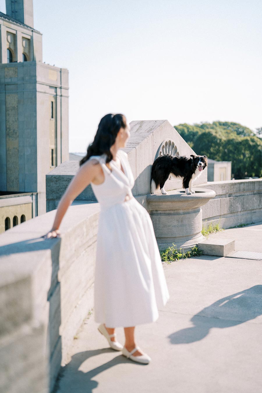 A woman in a white dress standing on a sunny rooftop, with a border collie perched on a stone ledge in the background, in front of an architectural structure.