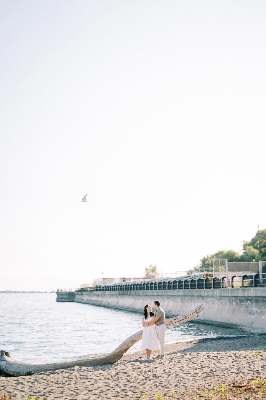 A couple embracing on a sandy beach with driftwood, overlooking a calm sea and a distant pier, under a clear blue sky with a flying seagull.