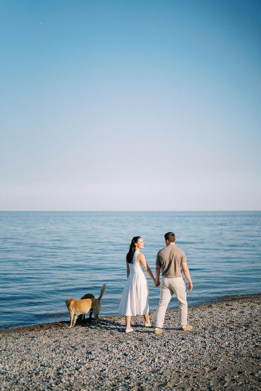 A couple holding hands walking along a pebbled beach with two dogs under a clear blue sky, enjoying a peaceful seaside moment.