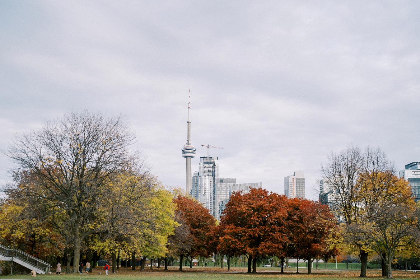 Skyline view of Toronto with the CN Tower visible behind vibrant autumn trees in a park setting.