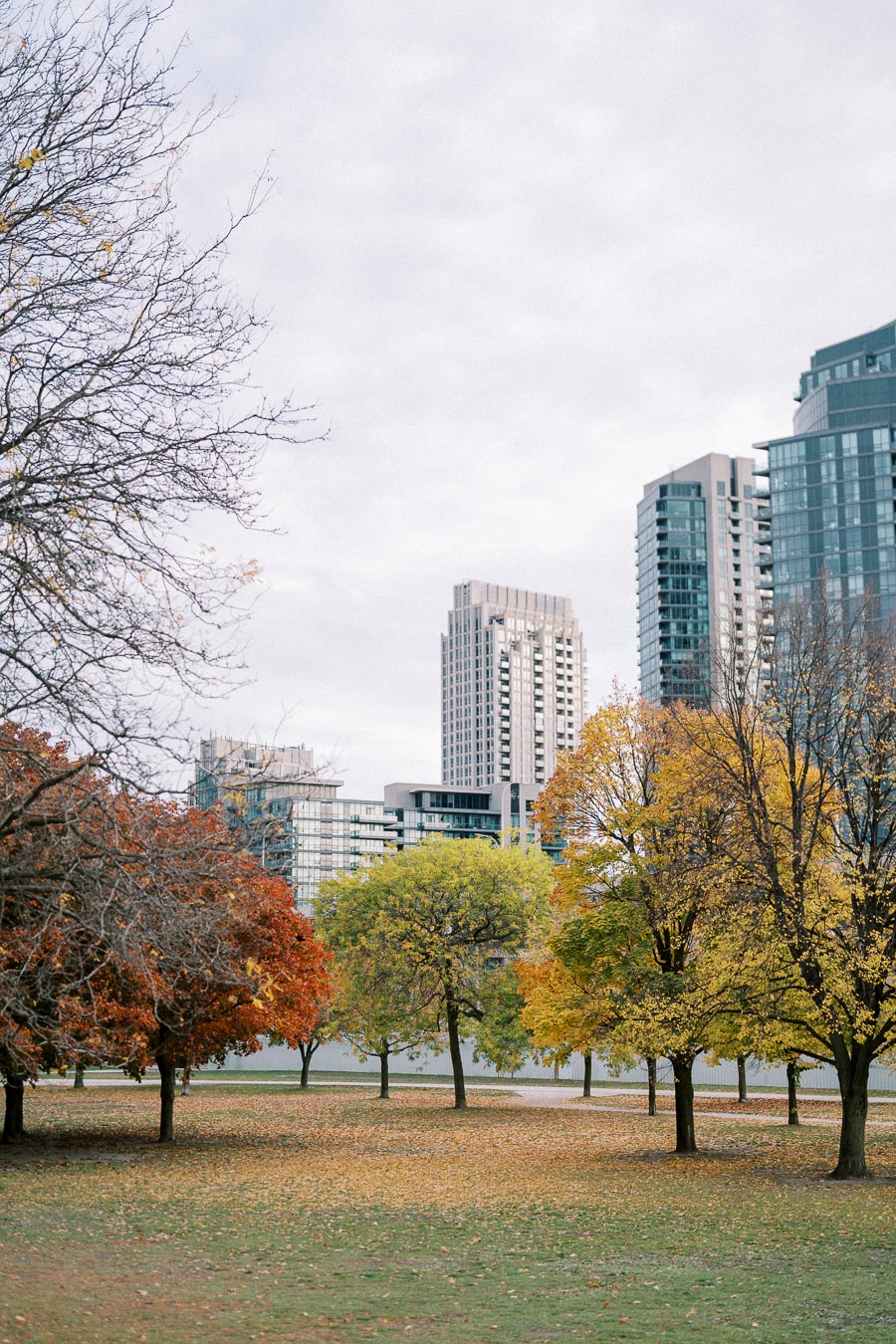 Autumn city park scene with colorful trees and modern high-rise buildings in the background, showcasing a blend of nature and urban landscape.