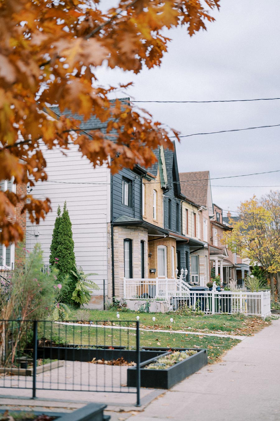 Row of charming residential houses with a focus on autumn foliage in the foreground, showcasing urban neighborhood living.