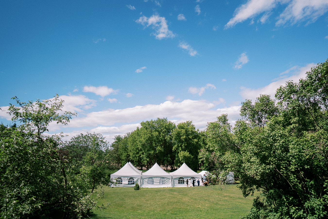 Wedding tents set up on a lush green field surrounded by trees under a clear blue sky.