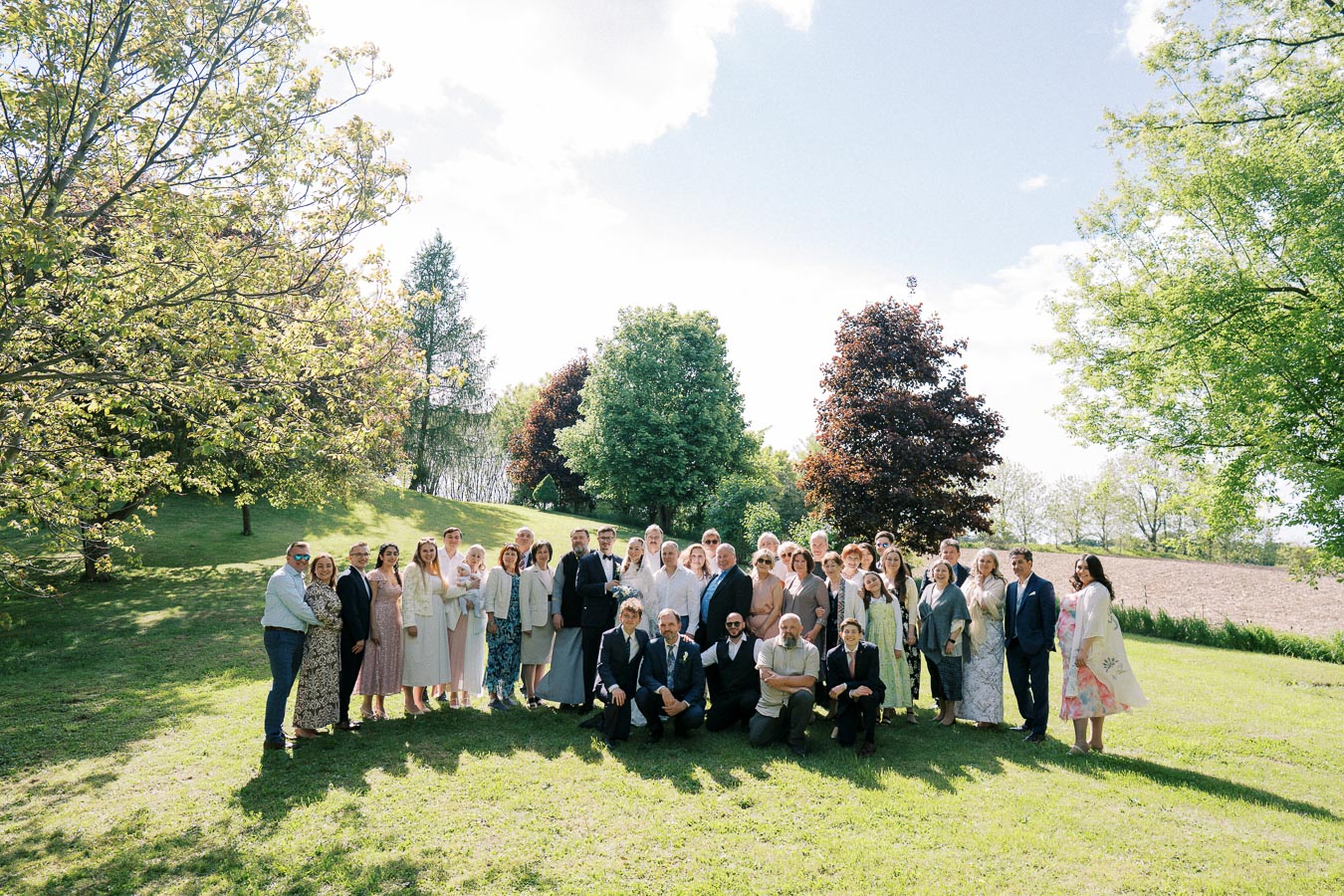 A large group gathers on a sunny day for a family celebration in a lush green park, with trees and clear blue sky in the background.