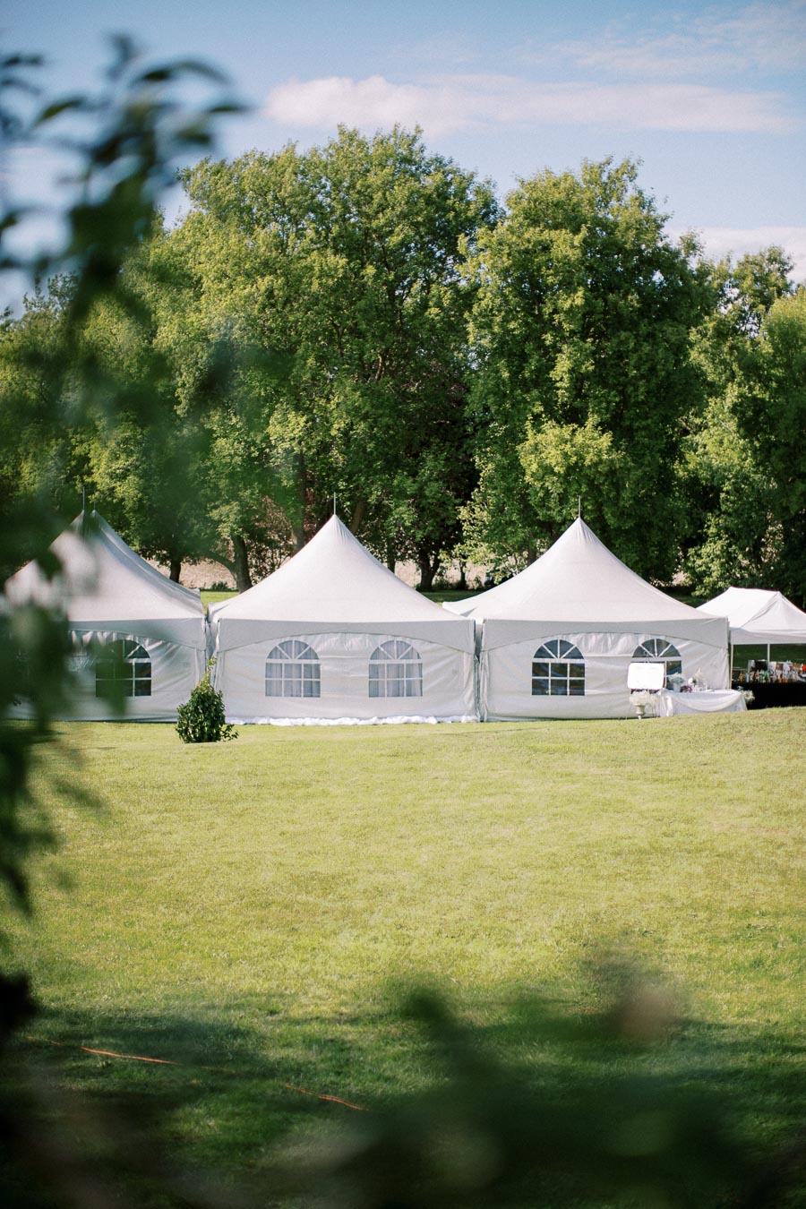White event tents set up on a lush green lawn with a backdrop of tall trees, under a clear blue sky, ideal for outdoor gatherings or celebrations.