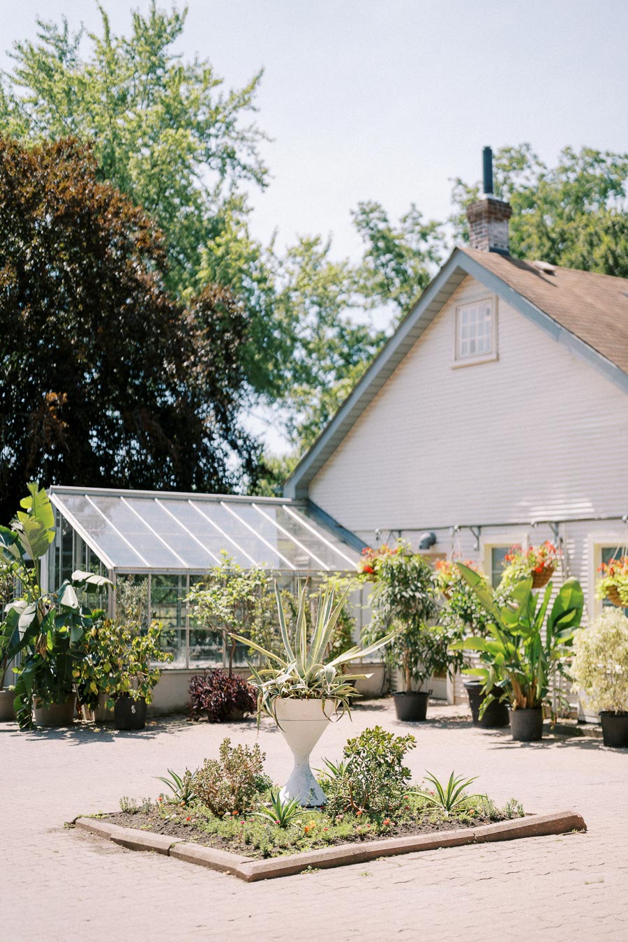 Charming backyard with a traditional house and lush garden, featuring a glass greenhouse filled with vibrant plants and trees, under a clear blue sky.