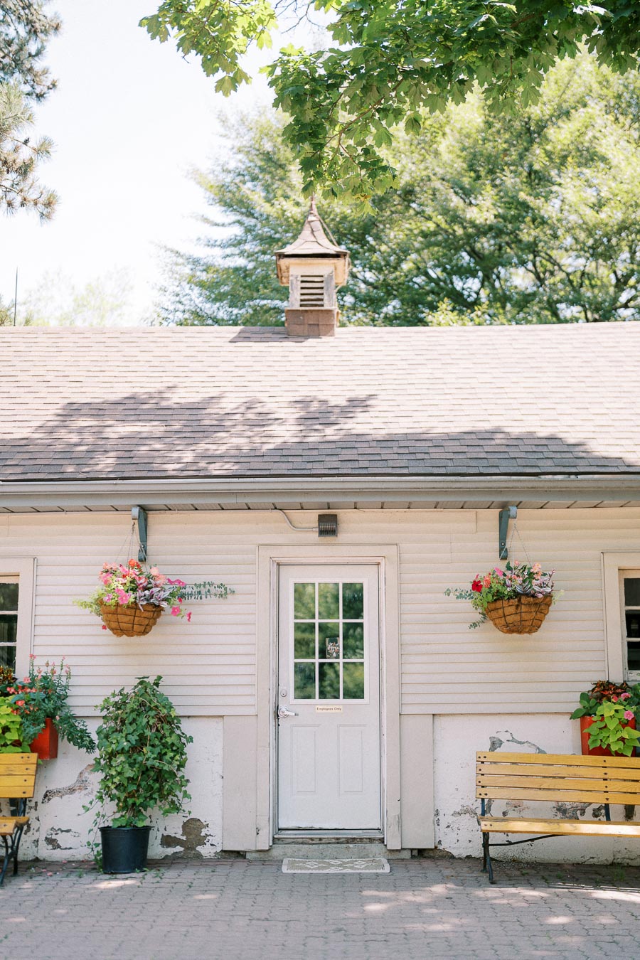 Rustic white cottage exterior with a pitched roof, adorned with hanging flower baskets and flanked by vibrant potted plants. A wooden door is centered, surrounded by greenery under a sunny canopy of trees.