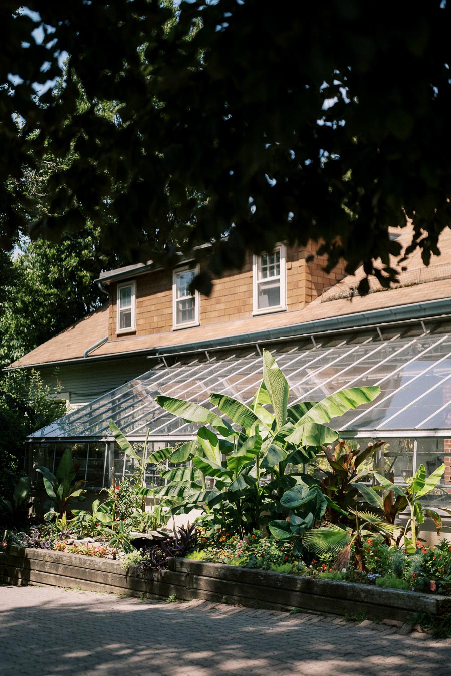Lush greenery and tropical plants outside a greenhouse building with a shingled roof, partially shaded by surrounding trees on a sunny day.
