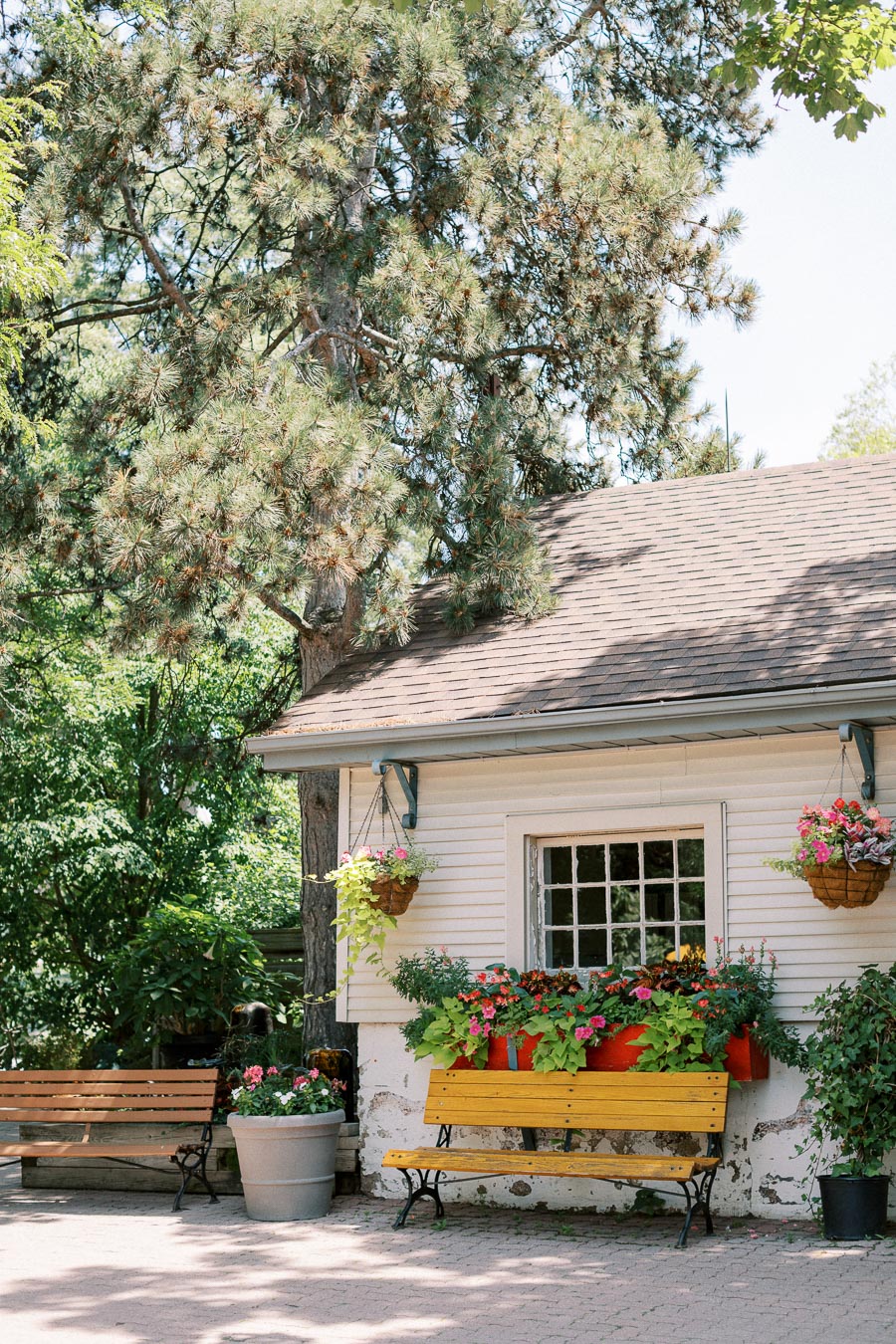 A charming outdoor scene featuring a cozy cottage with a shingled roof surrounded by lush greenery. A bright yellow bench adorned with colorful flower pots sits in front of the cottage, alongside hanging baskets filled with vibrant blooms. A tall tree provides shade, creating a tranquil garden setting.