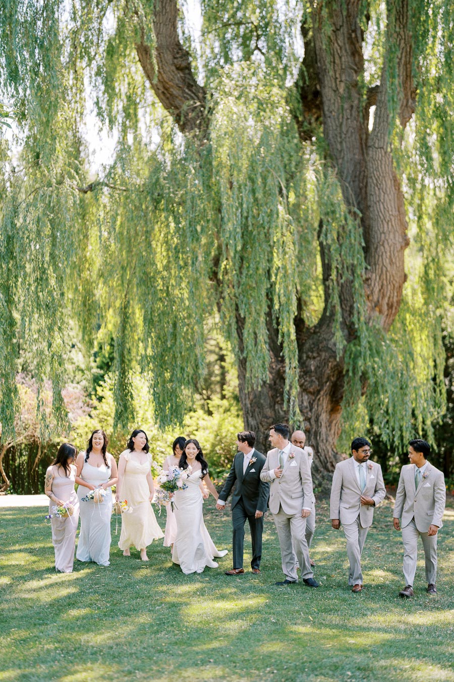 Bridal party walking under a lush willow tree, dressed in elegant suits and dresses, on a sunny day in a garden setting.