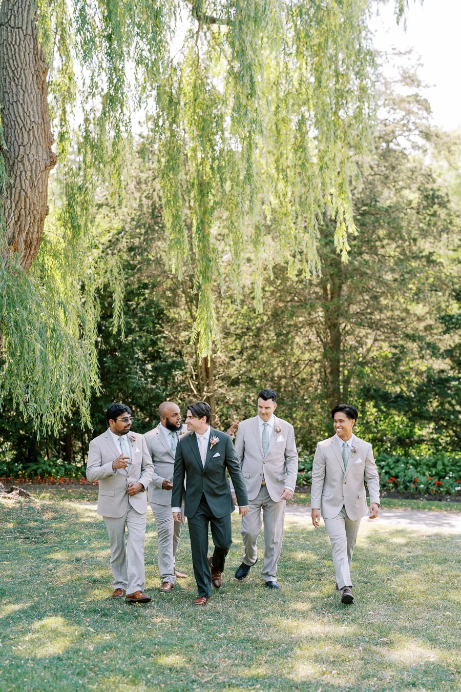 Groom and groomsmen walking under a willow tree in a sunlit garden, wearing light gray suits and smiling together.