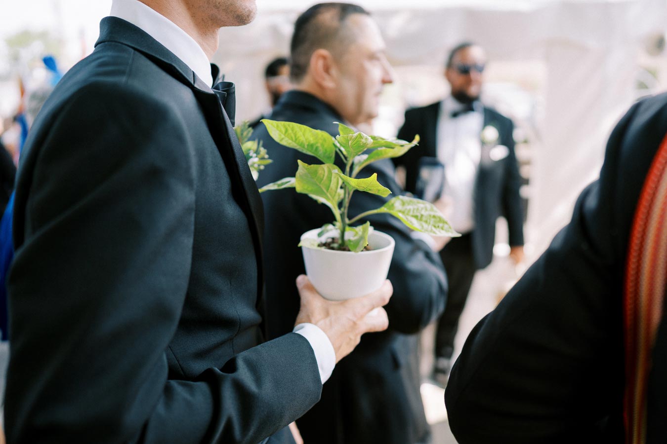 A man in a suit holding a small potted plant during an outdoor formal event, accompanied by other attendees in tuxedos.