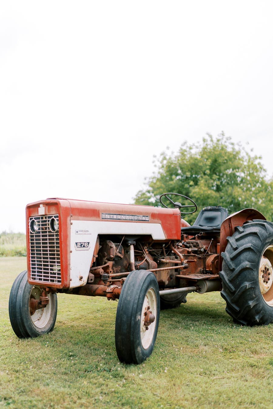 Red and white vintage tractor on a grassy field with trees in the background.