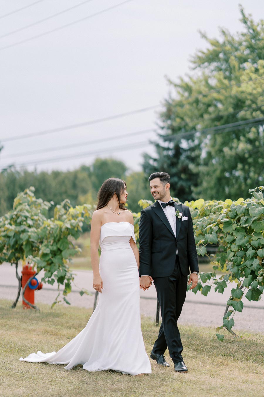 A bride in a white strapless gown and a groom in a black tuxedo holding hands while walking through a lush vineyard, with green foliage in the background.