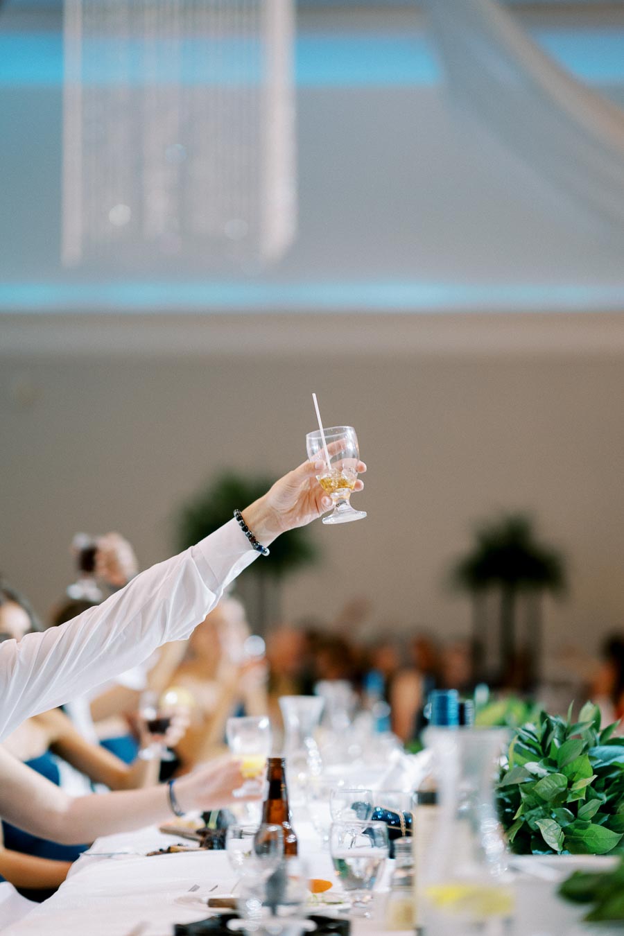 Person raising a glass at a celebratory event, surrounded by a table setting with drinks and greenery, capturing a festive atmosphere.