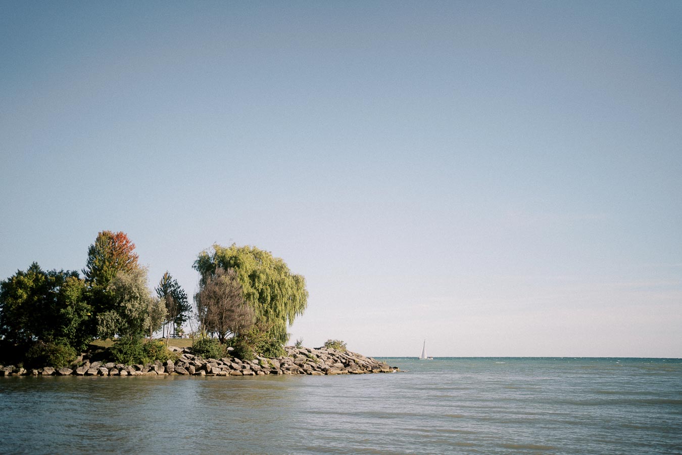 Serene landscape of a rocky shoreline adorned with lush green trees under a clear blue sky, with a distant sailboat on calm waters.