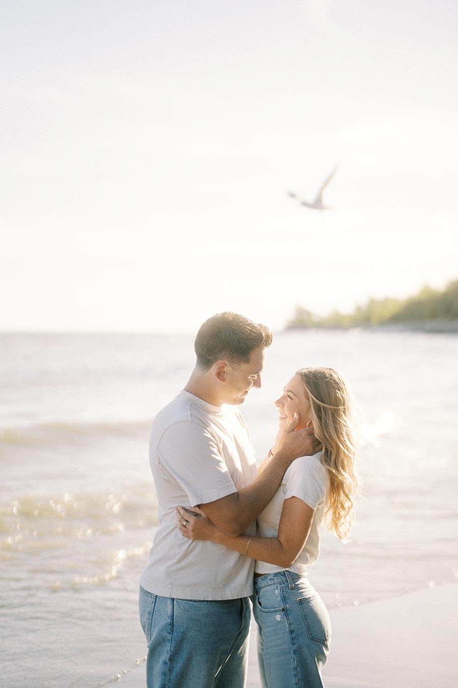 A couple embracing lovingly on a sunny beach, with gentle waves in the background and a bird flying in the sky.