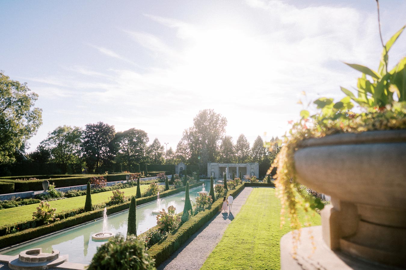 Beautiful sunlit garden with a long reflective pool and fountains, bordered by manicured hedges and lush greenery, creating a serene and picturesque landscape.