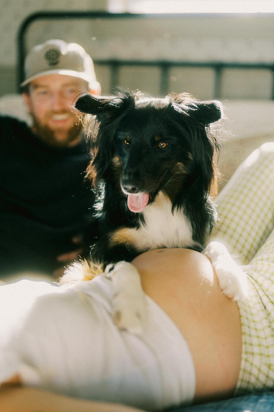 A happy dog lying on a pregnant woman's belly with a smiling man in the background, creating a warm and joyful family moment indoors.