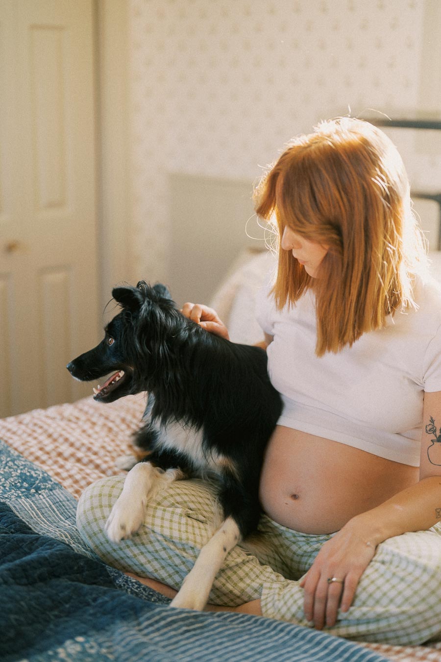Pregnant woman sitting on a bed, gently petting a black and white dog.