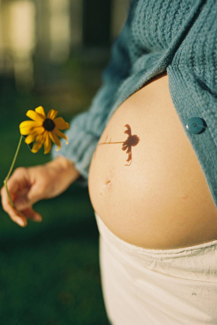 Pregnant woman in a blue sweater holding a yellow flower near her belly with the flower casting a shadow.
