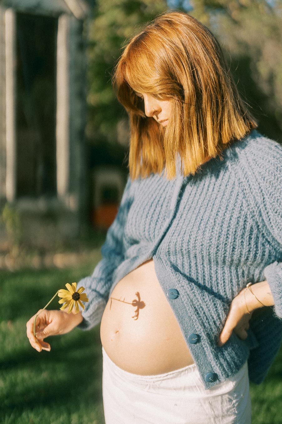 Pregnant woman holding a yellow flower beneath a shadow on her bare belly, wearing a blue knitted sweater in a sunny garden.