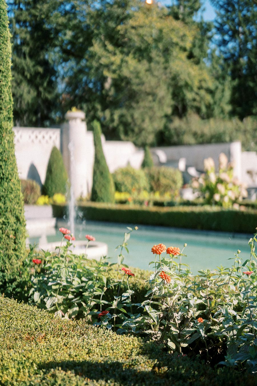 Beautiful garden scene with vibrant orange and red flowers in the foreground, lush greenery, and a serene water fountain in the background, surrounded by manicured hedges and trees on a sunny day.