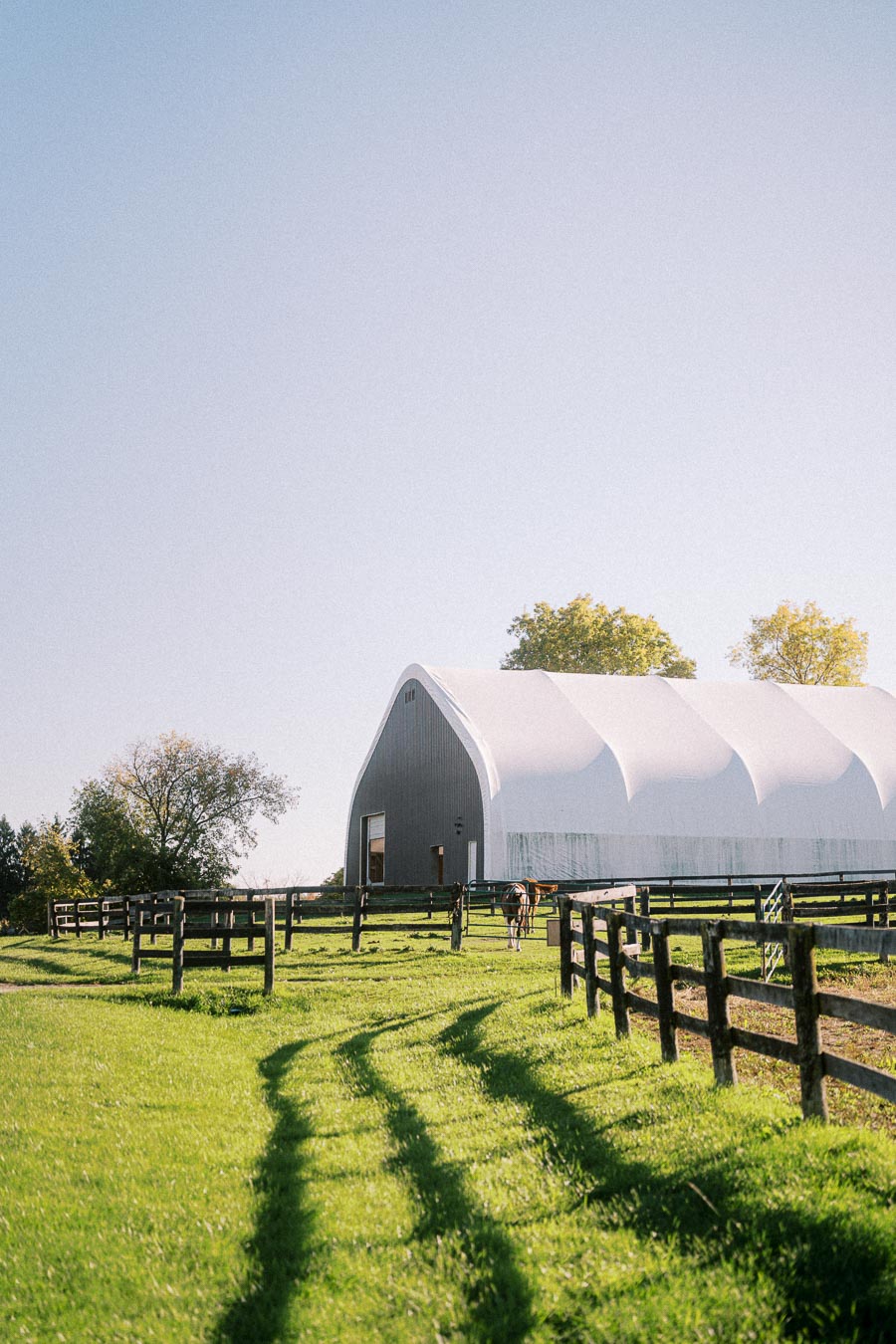 Sunny rural landscape with a large barn and green pastures, surrounded by wooden fences and trees under a clear blue sky.