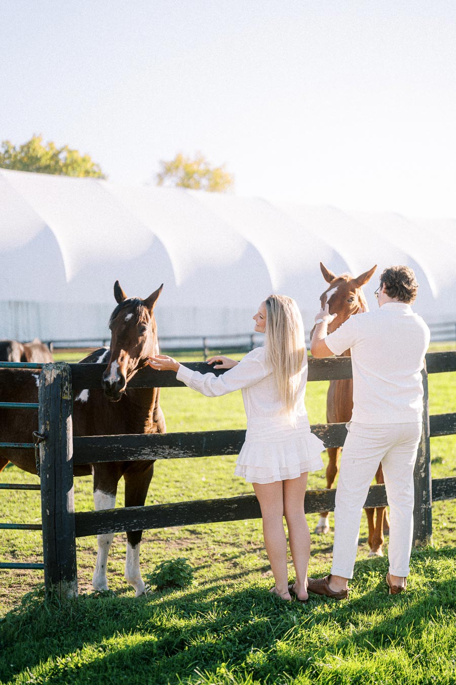 A man and a woman wearing white outfits petting horses by a wooden fence on a sunny day, with a large white structure and green grass in the background.