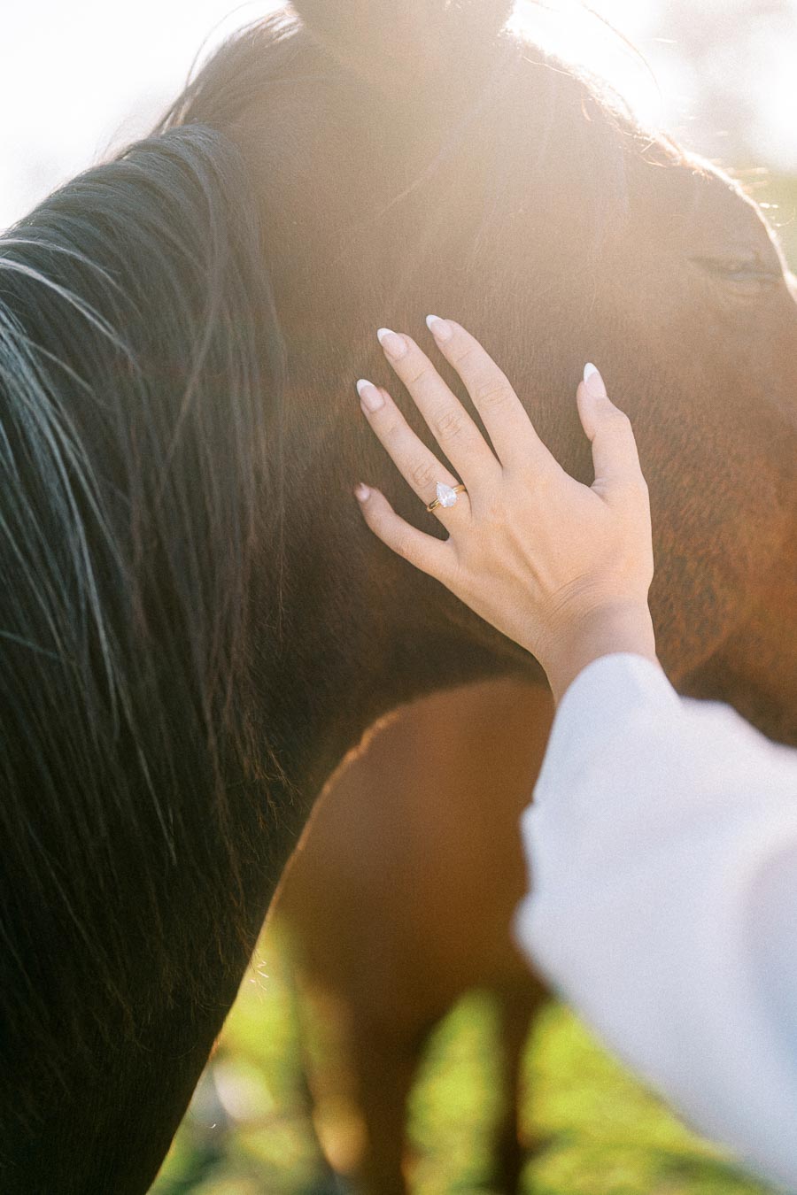 A hand with a sparkling engagement ring gently caressing the neck of a brown horse in a sunlit field.