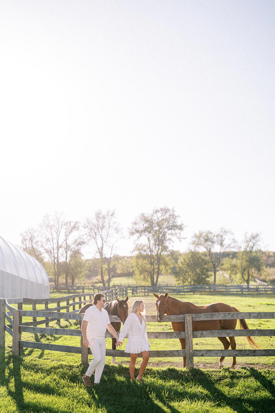 A couple holding hands walks along a wooden fence with horses in a sunlit pasture, surrounded by trees and blue sky.