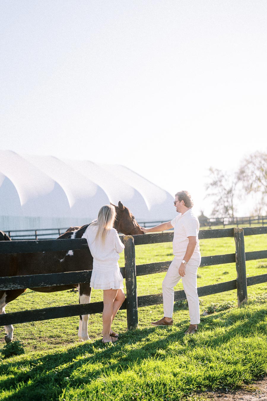 Man and woman in white clothing petting a horse over a wooden fence on a sunny day.