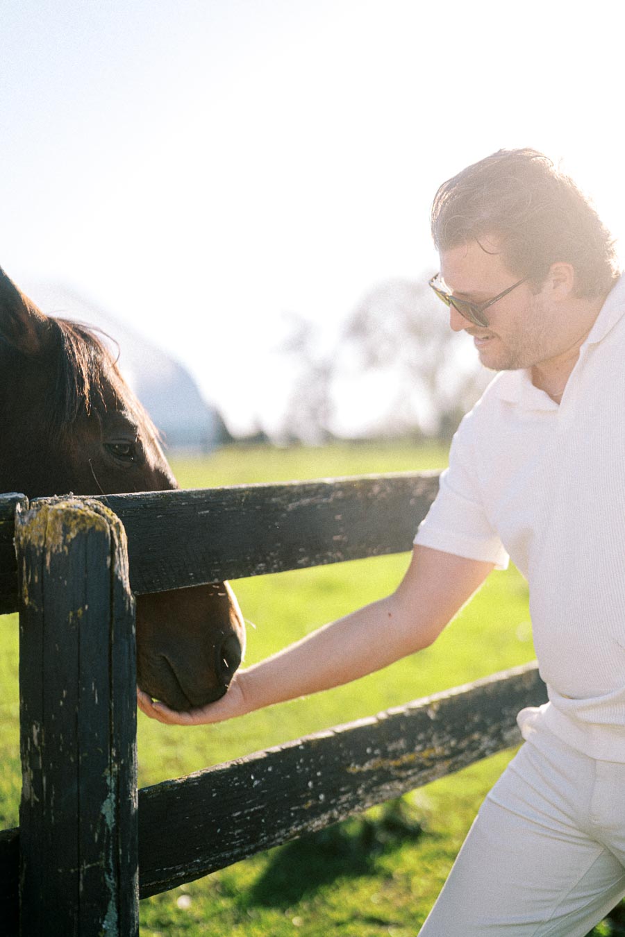Man in sunglasses petting a horse over a wooden fence in a sunny pasture.