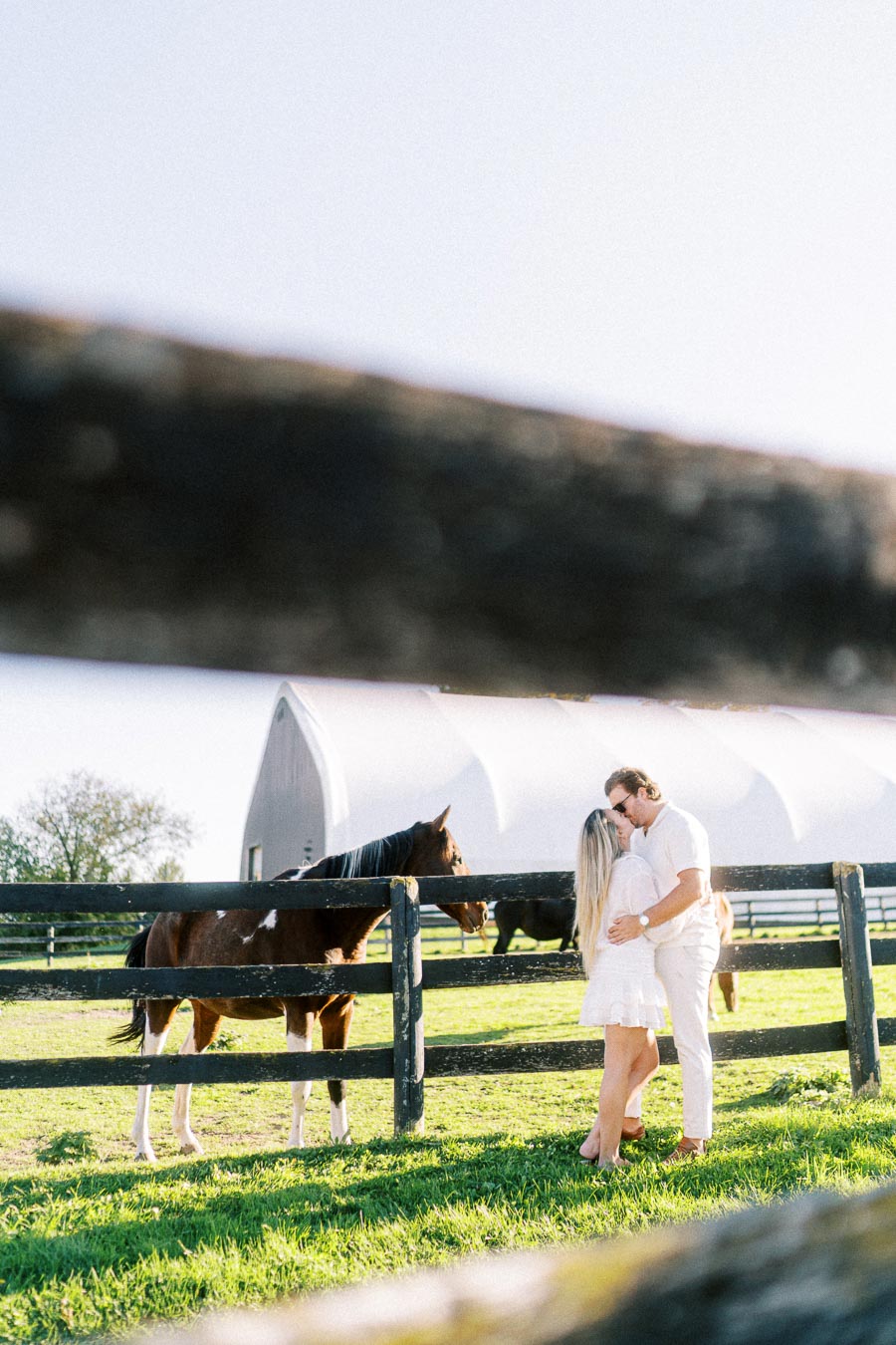Couple embracing near a horse in a sunny farm setting with a barn in the background, emphasizing romance and rural lifestyle.