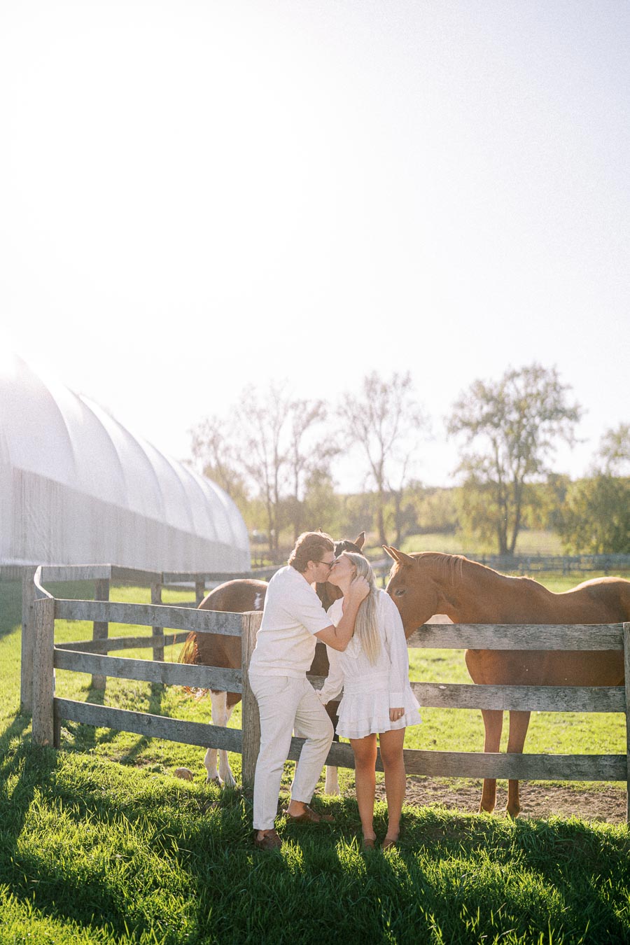 Couple sharing a romantic kiss by a wooden fence with two horses on a sunny day at a farm.