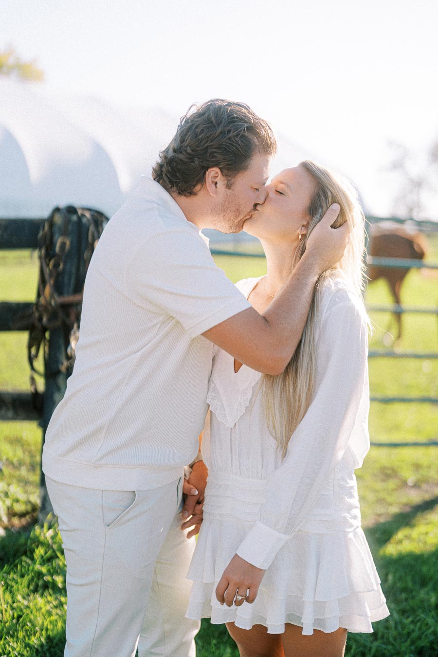 A couple in white outfits sharing a romantic kiss outdoors on a sunny day, with a horse grazing in the background.