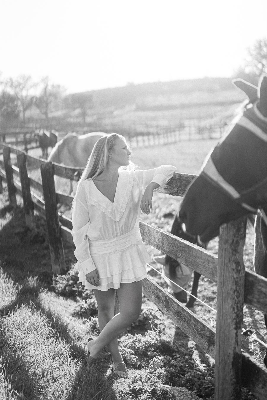 A woman in a white dress stands by a wooden fence in a sunny rural field with horses grazing, conveying a serene countryside atmosphere.