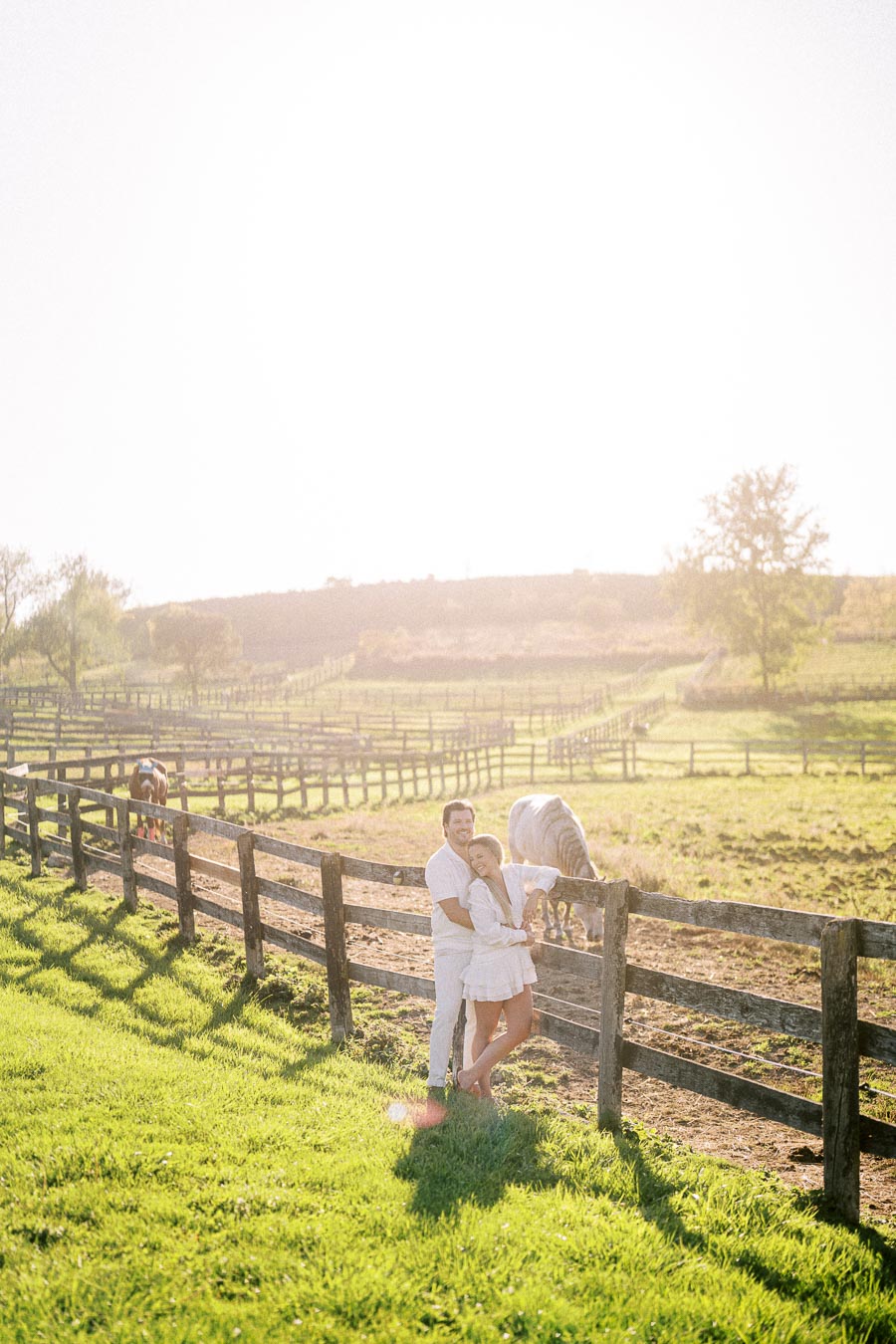 A couple embracing by a wooden fence in a sunlit field with grazing horses and lush green grass, creating a serene and romantic countryside setting.
