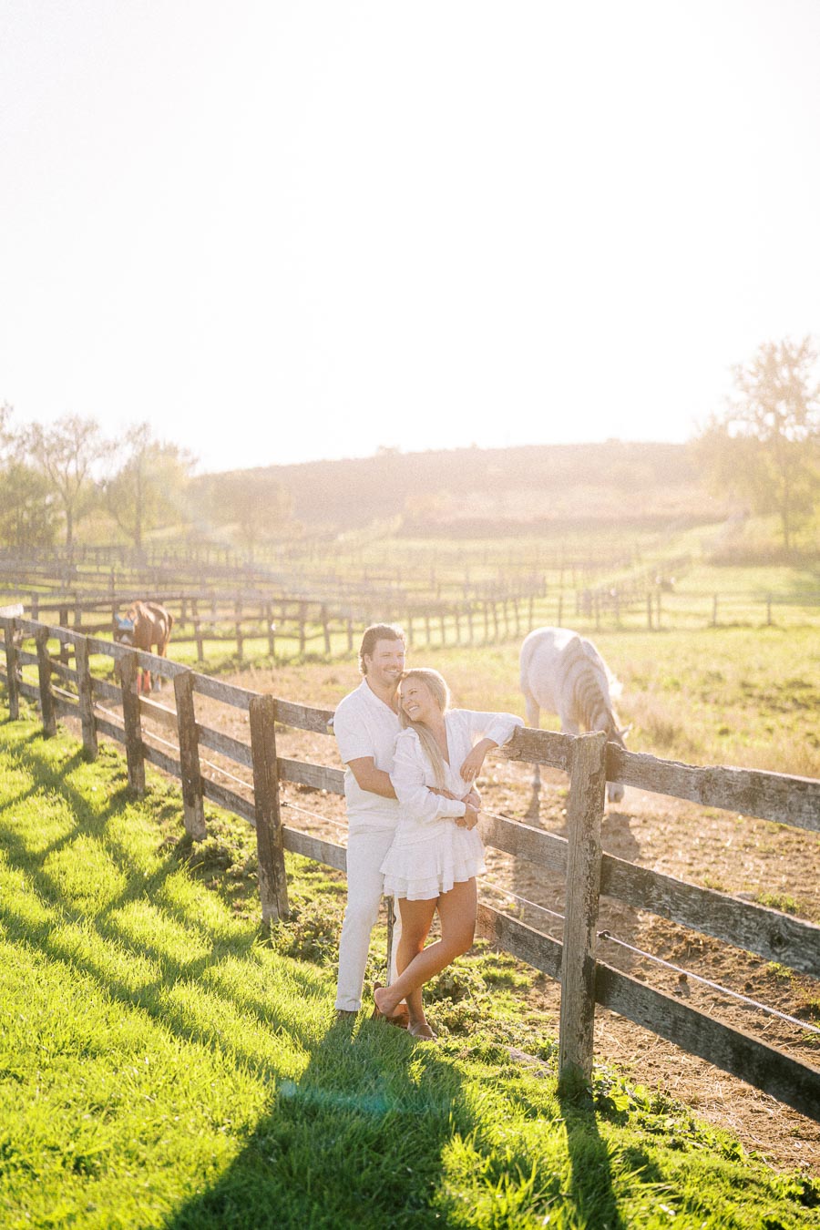 A couple embracing by a rustic wooden fence in a sunny countryside setting with horses grazing in the background.