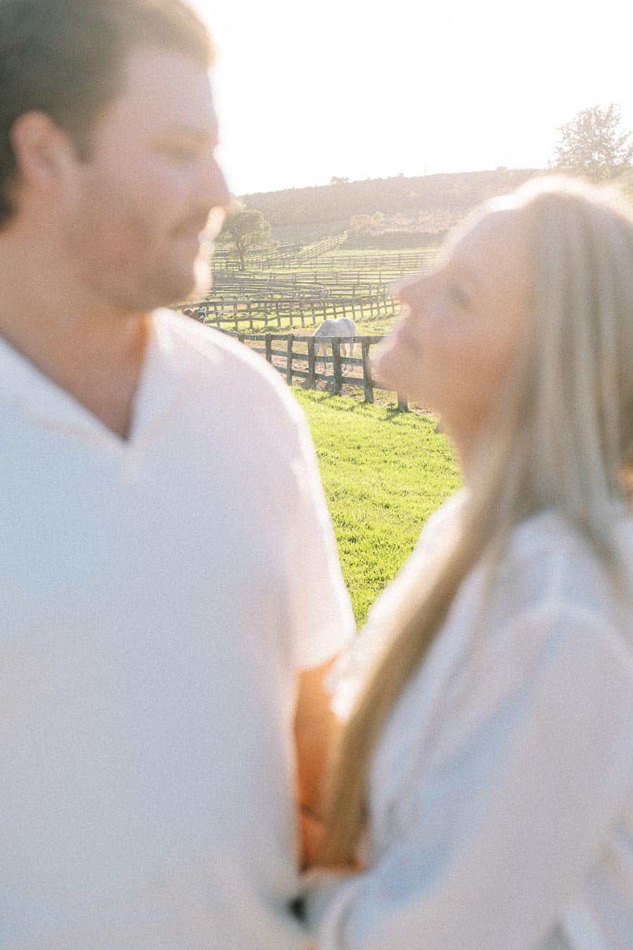 A blurred image of a couple in white clothing standing in a sunny field with a wooden fence and a grazing white horse in the background.
