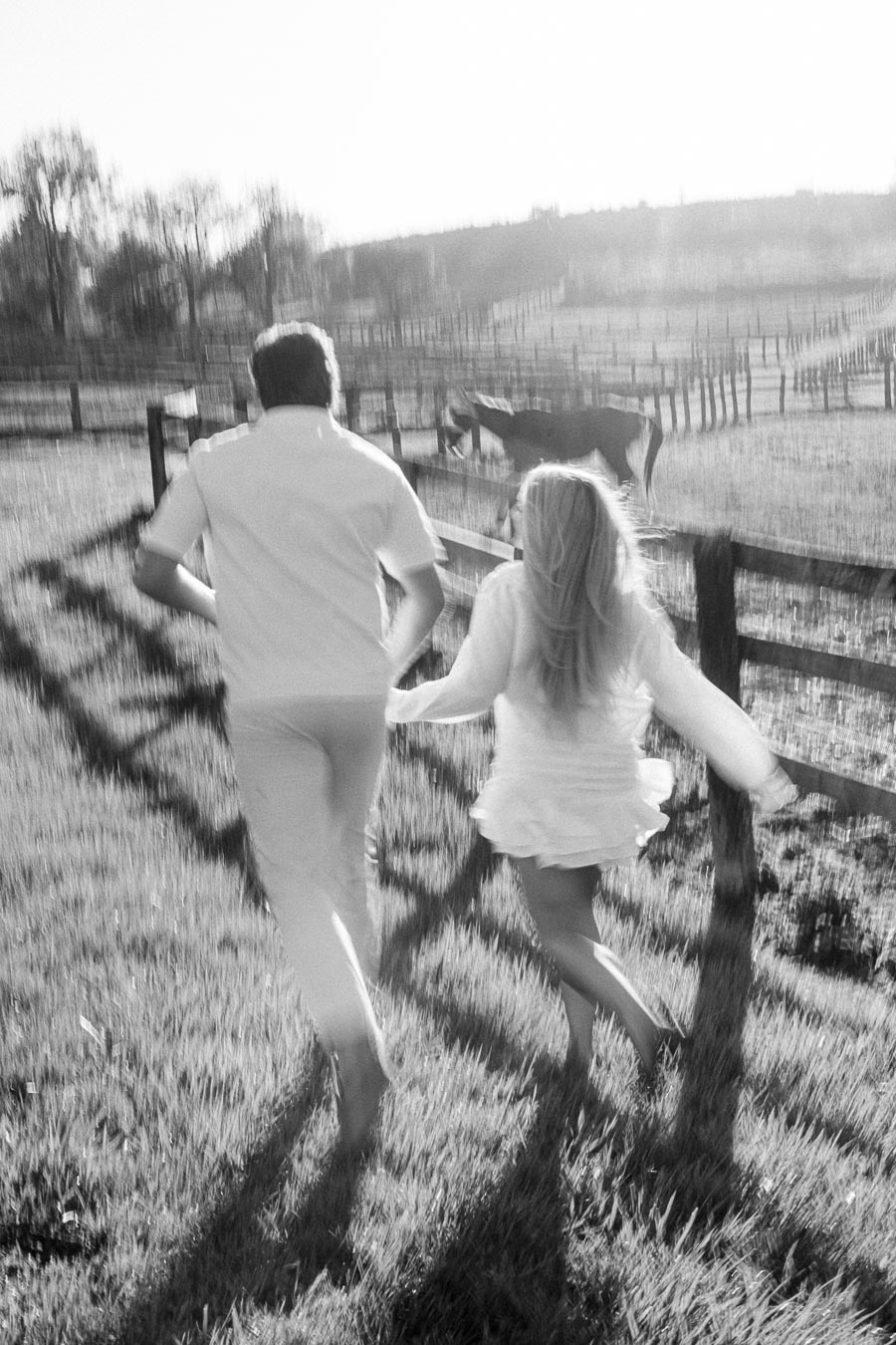 A couple running hand in hand through a sunny, grassy field with a wooden fence and grazing horse in the background. Black and white photograph capturing motion and rural tranquility.